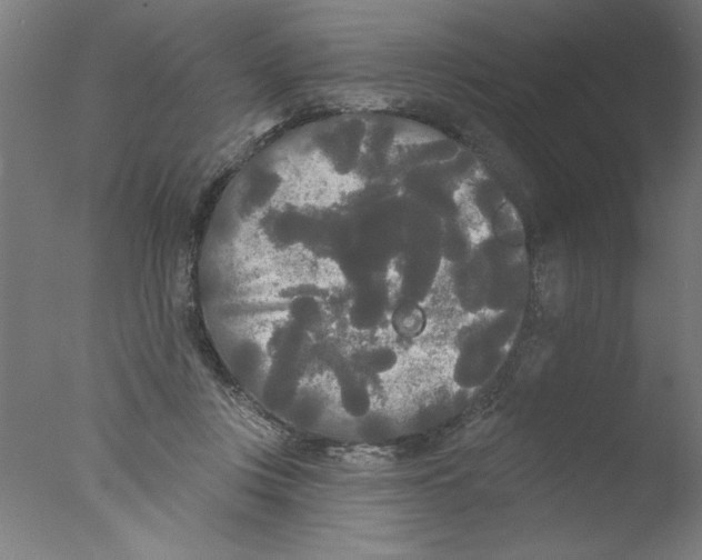 X0000076060359200610201954