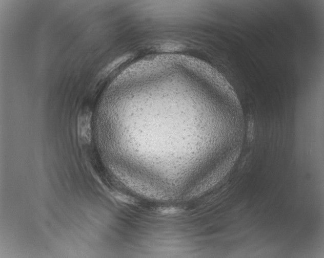 X0000076060360200610201954