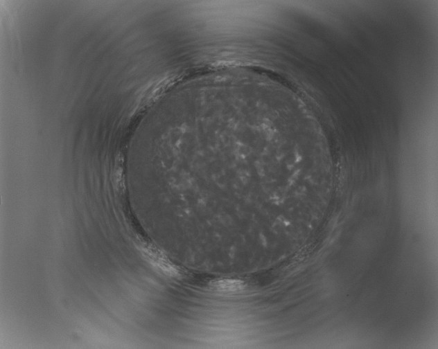 X0000076060361200610201954