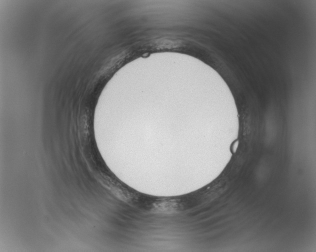 X0000076060362200610201954