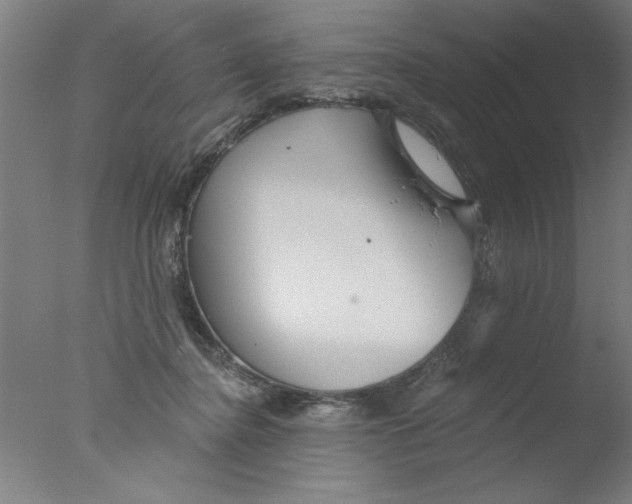 X0000076060364200610201954