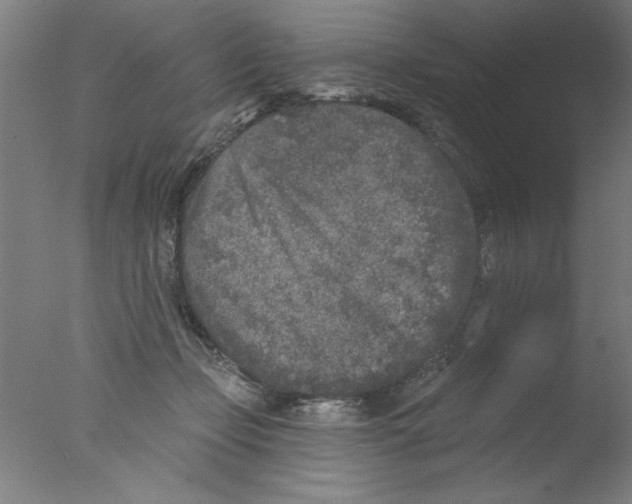 X0000076060365200610201954