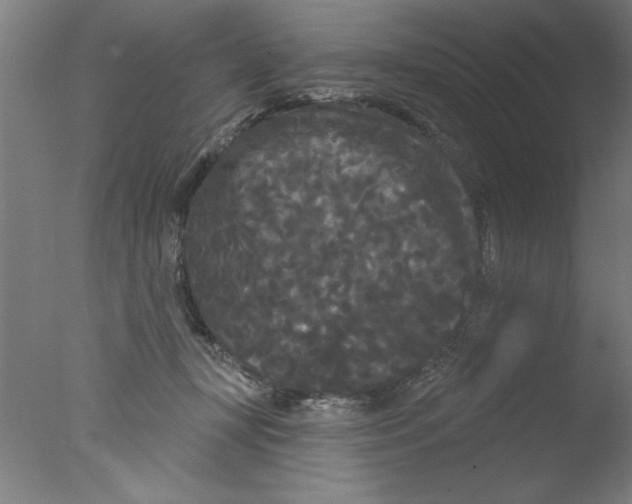 X0000076060367200610201954