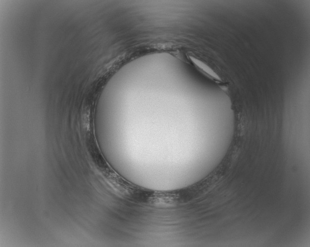 X0000076060368200610201954