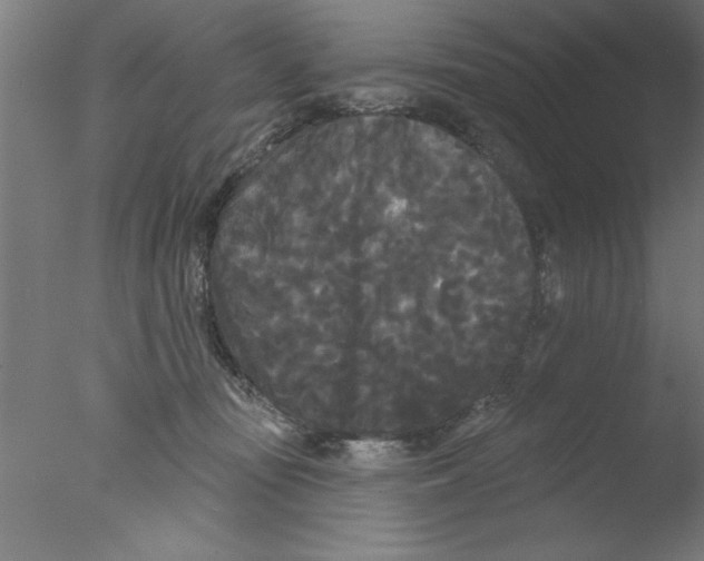 X0000076060371200610201954