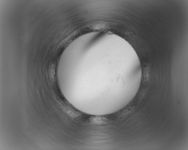 X0000076060372200610201954