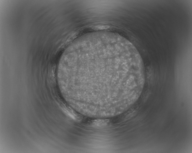 X0000076060373200610201954