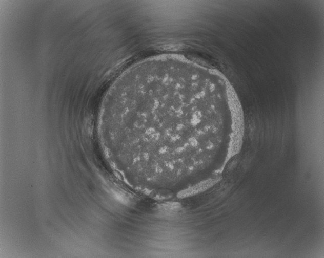 X0000076060374200610201954