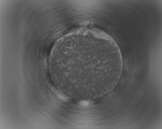 X0000076060375200610201954