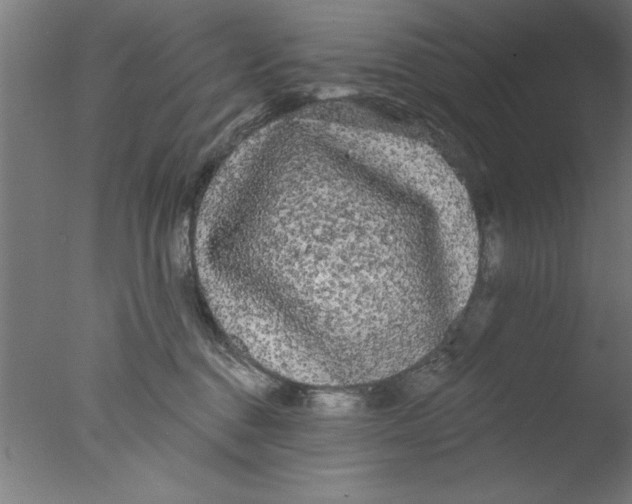 X0000076060376200610201954