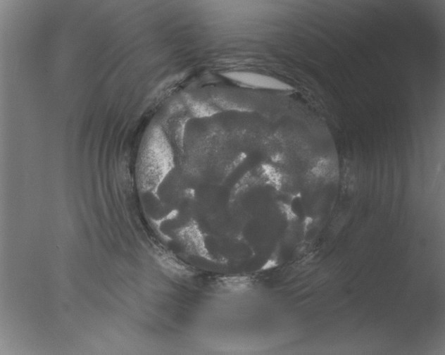 X0000076060377200610201954