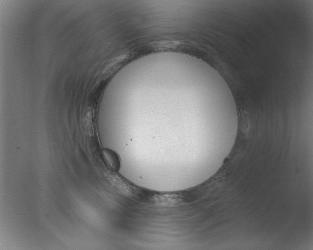 X0000076060378200610201954