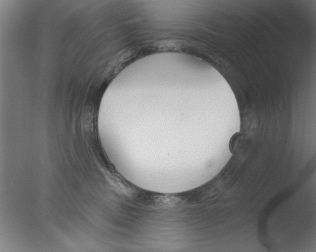 X0000076060379200610201954