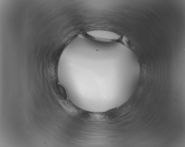 X0000076060380200610201954