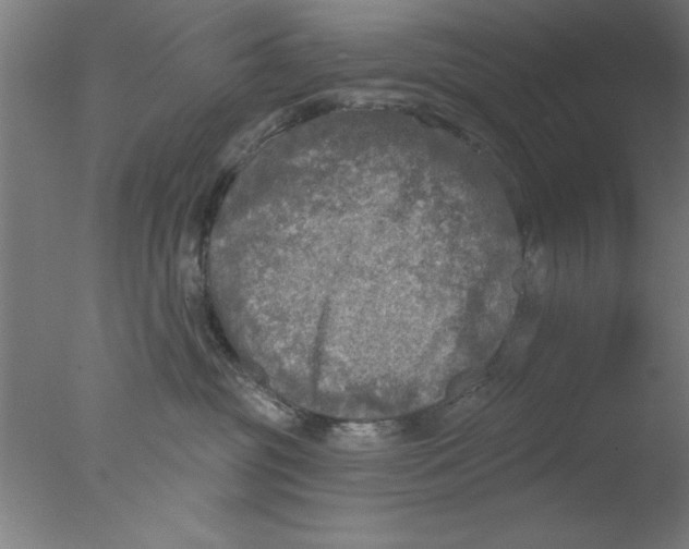 X0000076060381200610201954