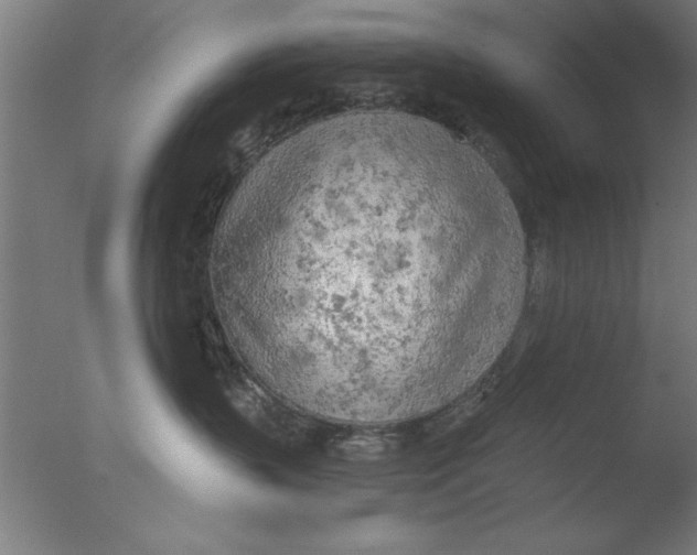 X0000076060383200610201954