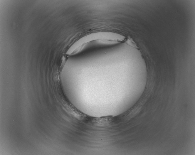 X0000076060384200610201954