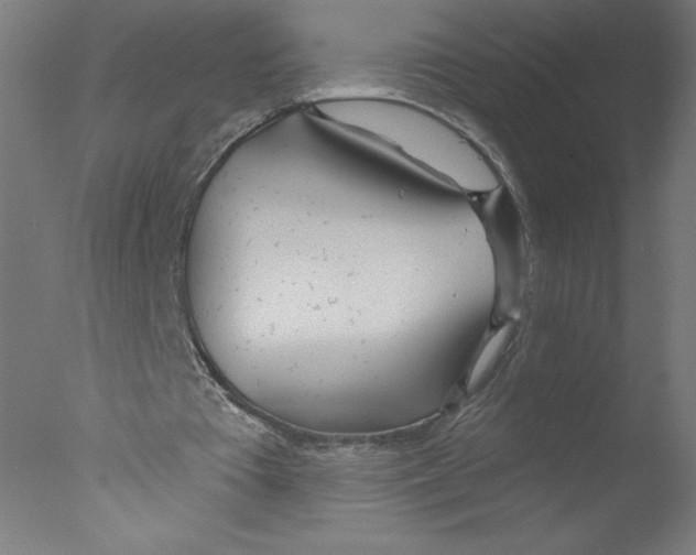 X0000076060385200610201954