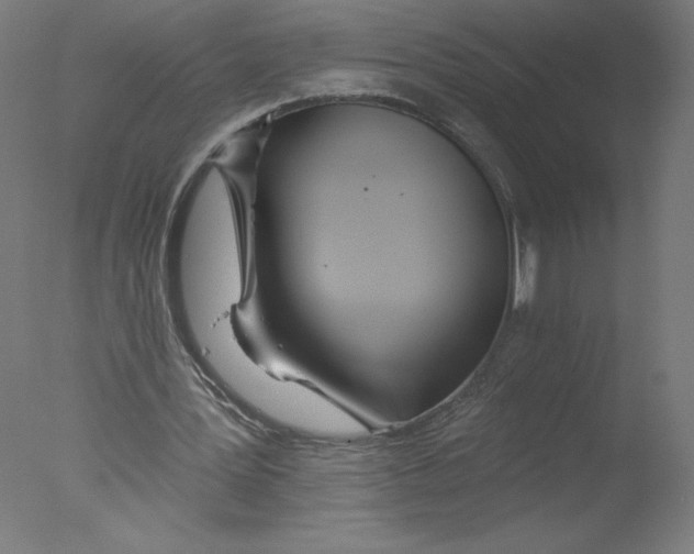 X0000076060387200610201954