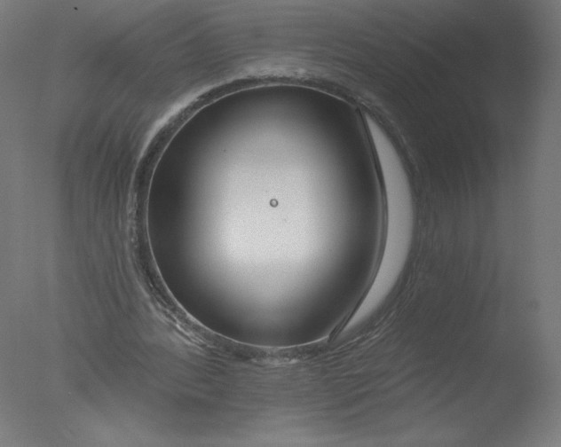 X0000076060388200610201954