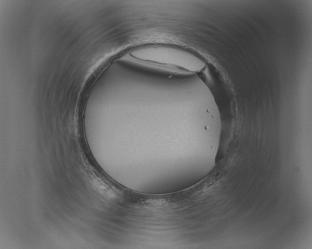 X0000076060391200610201953