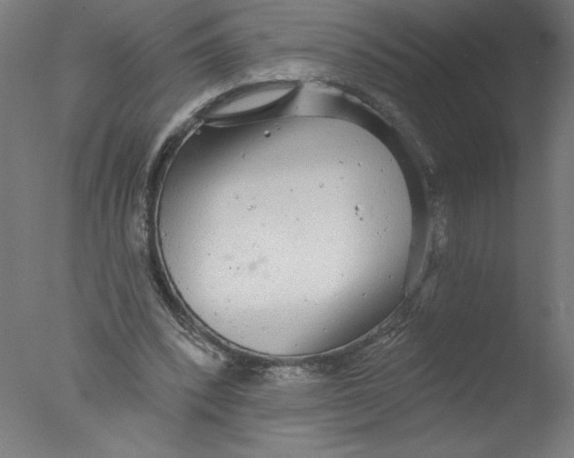 X0000076060392200610201953