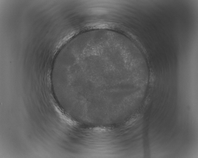 X0000076060394200610201953