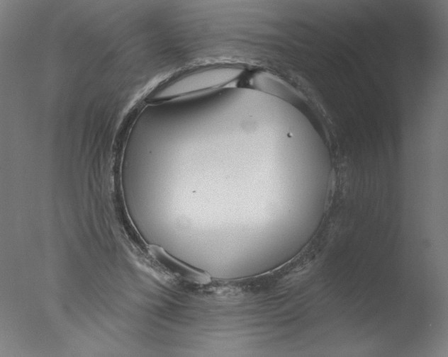 X0000076060395200610201953