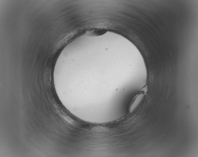 X0000076060397200610201953