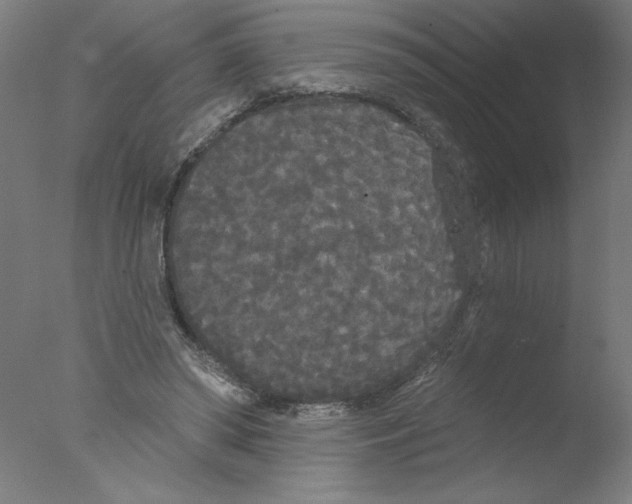 X0000076060398200610201953