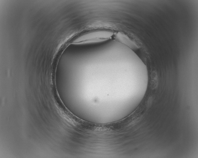 X0000076060399200610201953