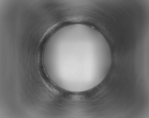 X0000076060400200610201953