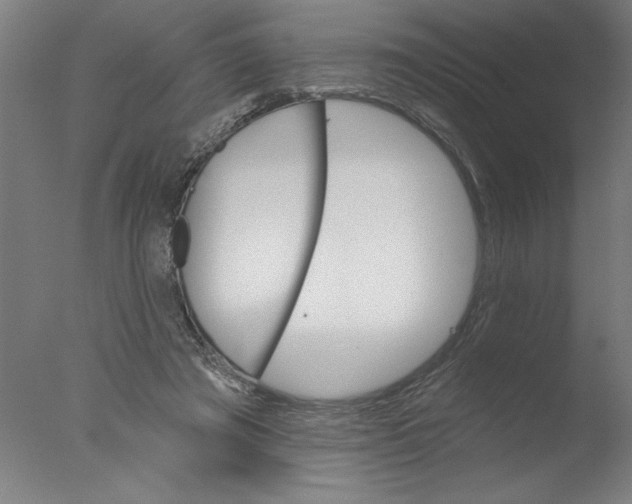 X0000076060401200610201953