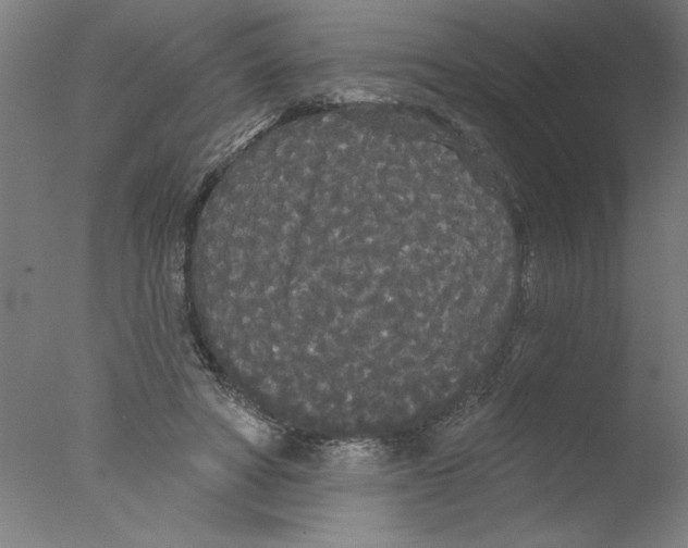 X0000076060402200610201953