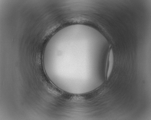 X0000076060403200610201953