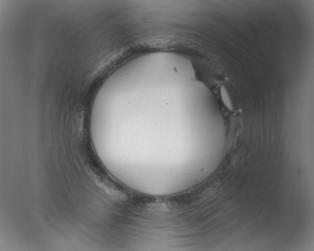 X0000076060404200610201953