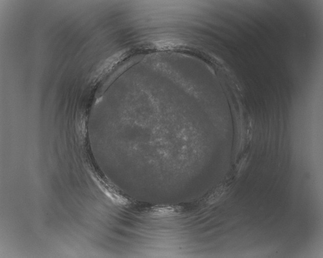 X0000076060405200610201953