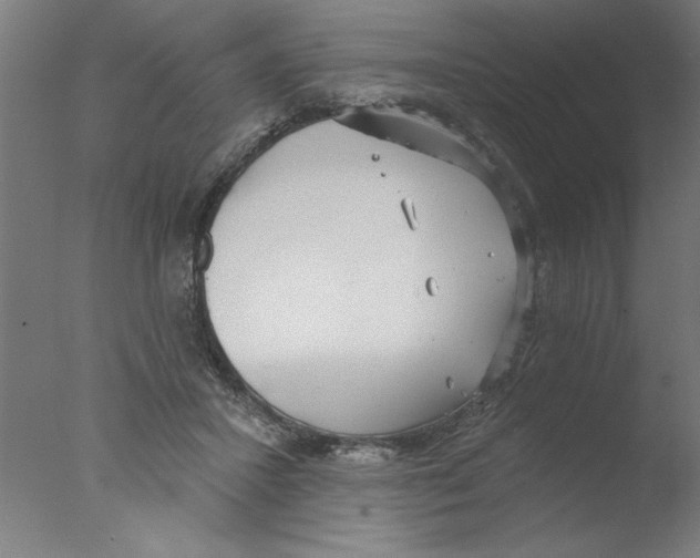 X0000076060407200610201953