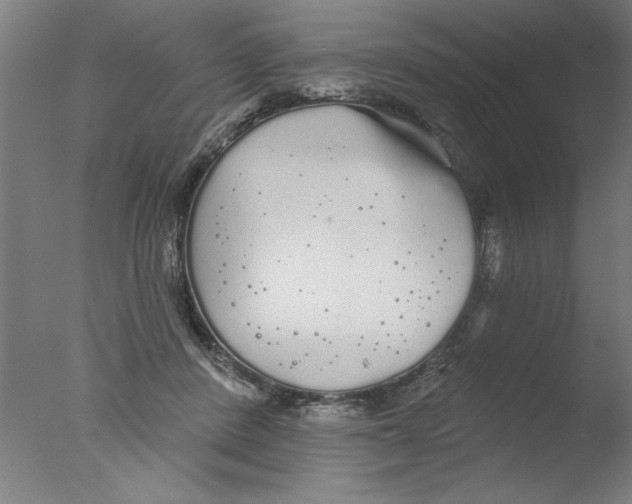 X0000076060408200610201953