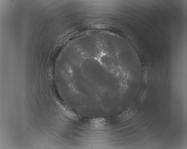 X0000076060410200610201953