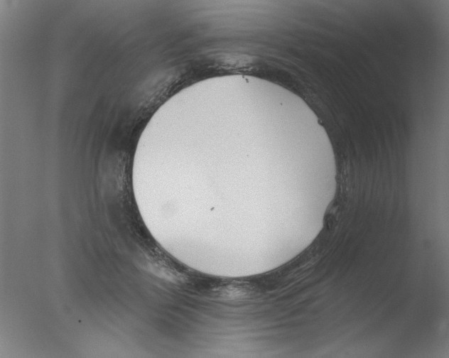 X0000076060412200610201953