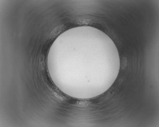 X0000076060414200610201953