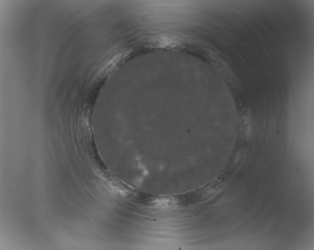 X0000076060415200610201953