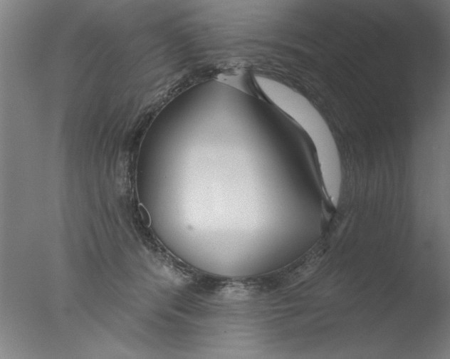 X0000076060416200610201953