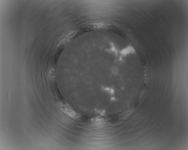 X0000076060419200610201953