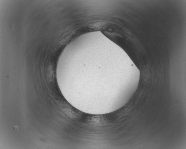 X0000076060420200610201953