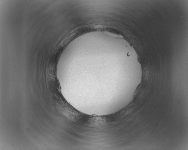 X0000076060421200610201953