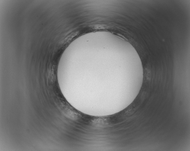 X0000076060422200610201953