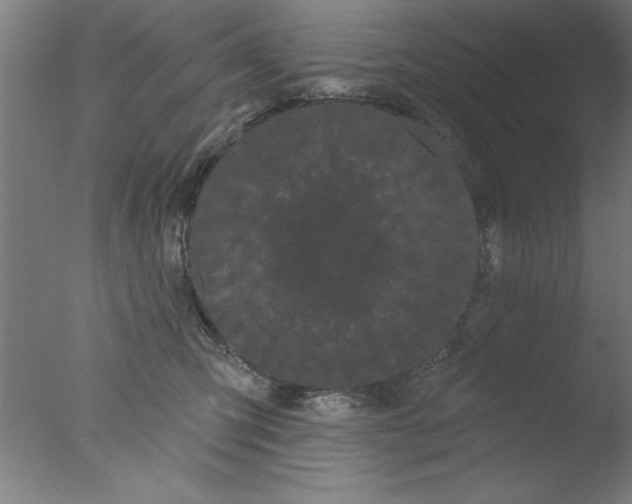 X0000076060423200610201953