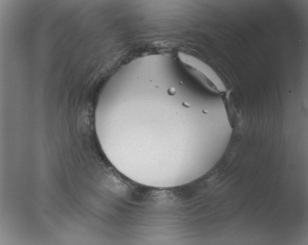 X0000076060424200610201953